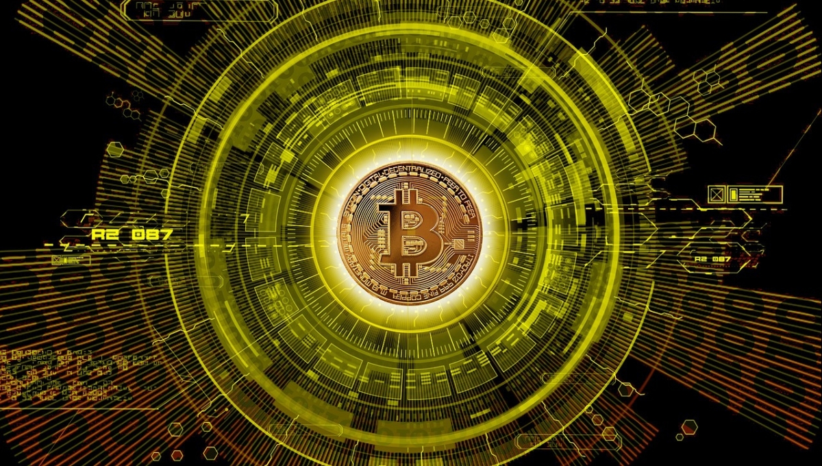 Wendy Owusu’s Insight Bitcoin and Ethereum Shine While Investor Sentiment Tells Another Story