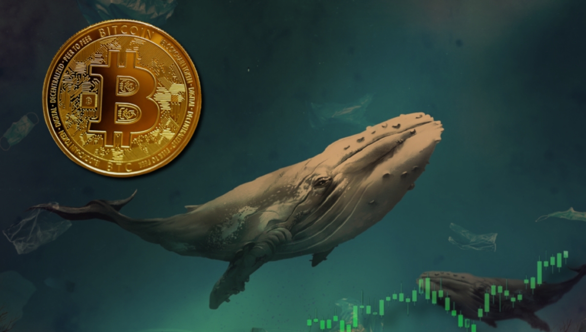 Bitcoin on Edge: Whale Moves and Short-Term Losses Signal Potential Shake-Up