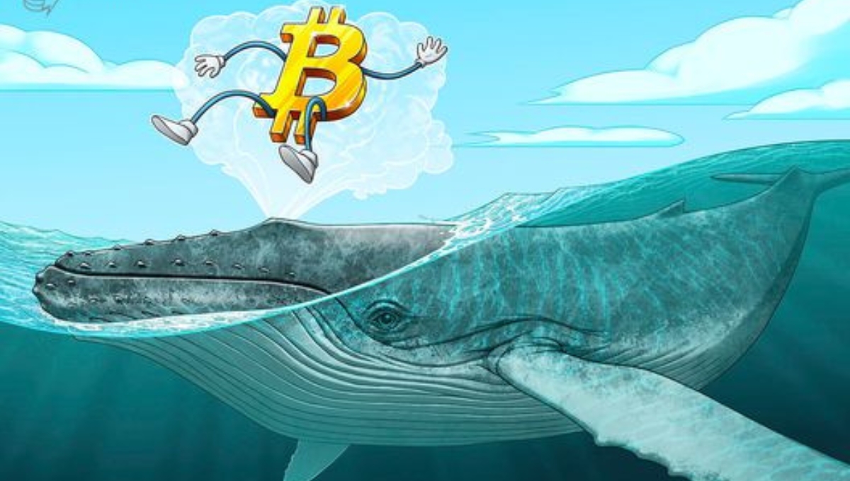 Bitcoin Whales Sell $12.7 Billion in Biggest Shake-Up Since 2022 What It Means for Investors