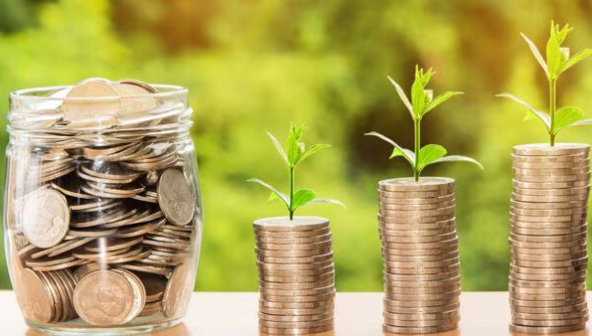 Stock Market This Week: Top Gainers and Losers That Moved Nifty and Sensex